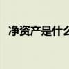 凈資產是什么（關于凈資產是什么的介紹）