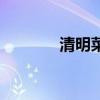 清明菜（關于清明菜的介紹）