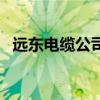 遠東電纜公司（關于遠東電纜公司的介紹）