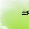王斑（關于王斑的介紹）