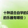 十種適合自學的簡單樂器（十大最簡單的自學樂器最易自學的樂器有哪些）