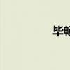畢暢（關于畢暢的介紹）
