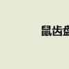 鼠齒盤（關于鼠齒盤的介紹）