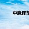 中脈床墊（關于中脈床墊的介紹）