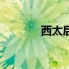 西太后（關于西太后的介紹）
