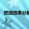 燃燒效率分析儀（關于燃燒效率分析儀的介紹）