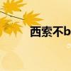 西索不bt（關于西索不bt的介紹）