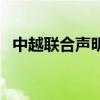 中越聯合聲明（關于中越聯合聲明的介紹）