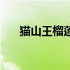 貓山王榴蓮（關于貓山王榴蓮的介紹）