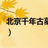 北京千年古墓群（關于北京千年古墓群的介紹）