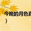 今晚的月色真美（關于今晚的月色真美的介紹）