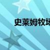 史萊姆牧場（關于史萊姆牧場的介紹）