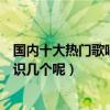 國內十大熱門歌唱組合（中國十大熱門男女歌唱組合你都認識幾個呢）