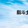 脂斗士（關于脂斗士的介紹）