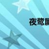 夜鷺屬（關于夜鷺屬的介紹）