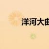洋河大曲（關于洋河大曲的介紹）