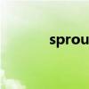 sprout（關于sprout的介紹）