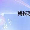 梅長蘇（關于梅長蘇的介紹）