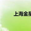 上海金星（關于上海金星的介紹）