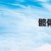 髖骨（關于髖骨的介紹）