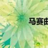 馬賽曲（關于馬賽曲的介紹）
