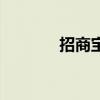招商寶（關于招商寶的介紹）