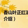 香山葉正紅演員表（關于香山葉正紅演員表的介紹）