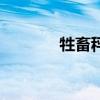 牲畜秤（關于牲畜秤的介紹）