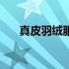 真皮羽絨服（關于真皮羽絨服的介紹）