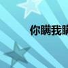 你瞞我瞞（關于你瞞我瞞的介紹）