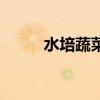 水培蔬菜（關于水培蔬菜的介紹）
