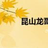 昆山龍哥（關于昆山龍哥的介紹）
