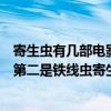 寄生蟲有幾部電影（十大寄生蟲電影排名：《撕裂人》上榜第二是鐵線蟲寄生蟲）