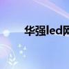 華強led網（關于華強led網的介紹）