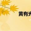 黃有光（關于黃有光的介紹）
