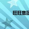 旺旺集團（關于旺旺集團的介紹）