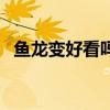 魚龍變好看嗎（關于魚龍變好看嗎的介紹）