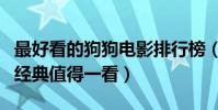 最好看的狗狗電影排行榜(一條狗的使命相當經典值得一看)