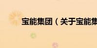 寶能集團(關于寶能集團的介紹)