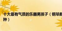 十大最有氣質的樂器男孩子(鋼琴頗受歡迎,你家孩子在學哪種)