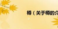 樽(關于樽的介紹)