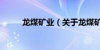 龍煤礦業(關于龍煤礦業的介紹)