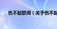 傷不起歌詞(關于傷不起歌詞的介紹)