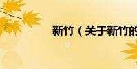 新竹(關于新竹的介紹)