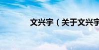 文興宇(關于文興宇的介紹)