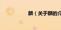 麟(關于麟的介紹)