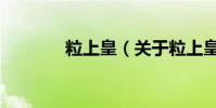 粒上皇(關于粒上皇的介紹)
