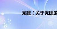 黨建(關于黨建的介紹)