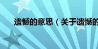 遺憾的意思(關于遺憾的意思的介紹)