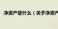 凈資產是什么(關于凈資產是什么的介紹)